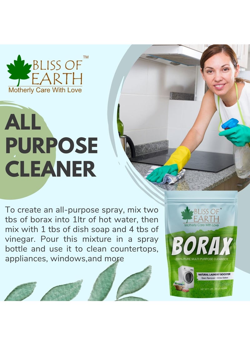 BLISS OF EARTH - Bliss of Earth 4 oz American Borax Detergent Booster Powder Slime Activator Multipurpose Cleaning And Stain Remover Powder Ants Killer 100 Percent Pure Natural Sodium Borate Powder 113gm - Image 1
