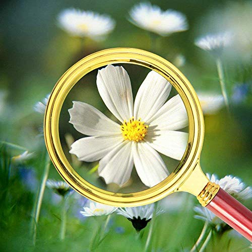 ZEBROC Double Glass 3X High Power Antique Handheld Magnifier Magnifying Glass for Reading, Soldering, jewelries, maps, Great for Gifting (3X, 80MM, Gold + Red) - Image 5