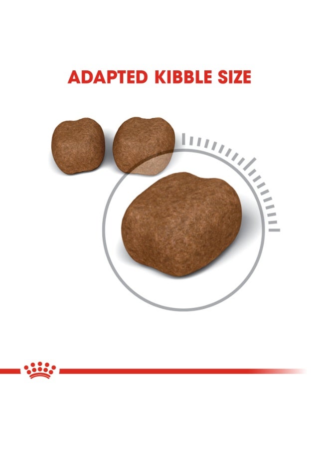 رويال كانين العناية بالأسنان والتغذية للقطط 1.5 كجم - Image 3