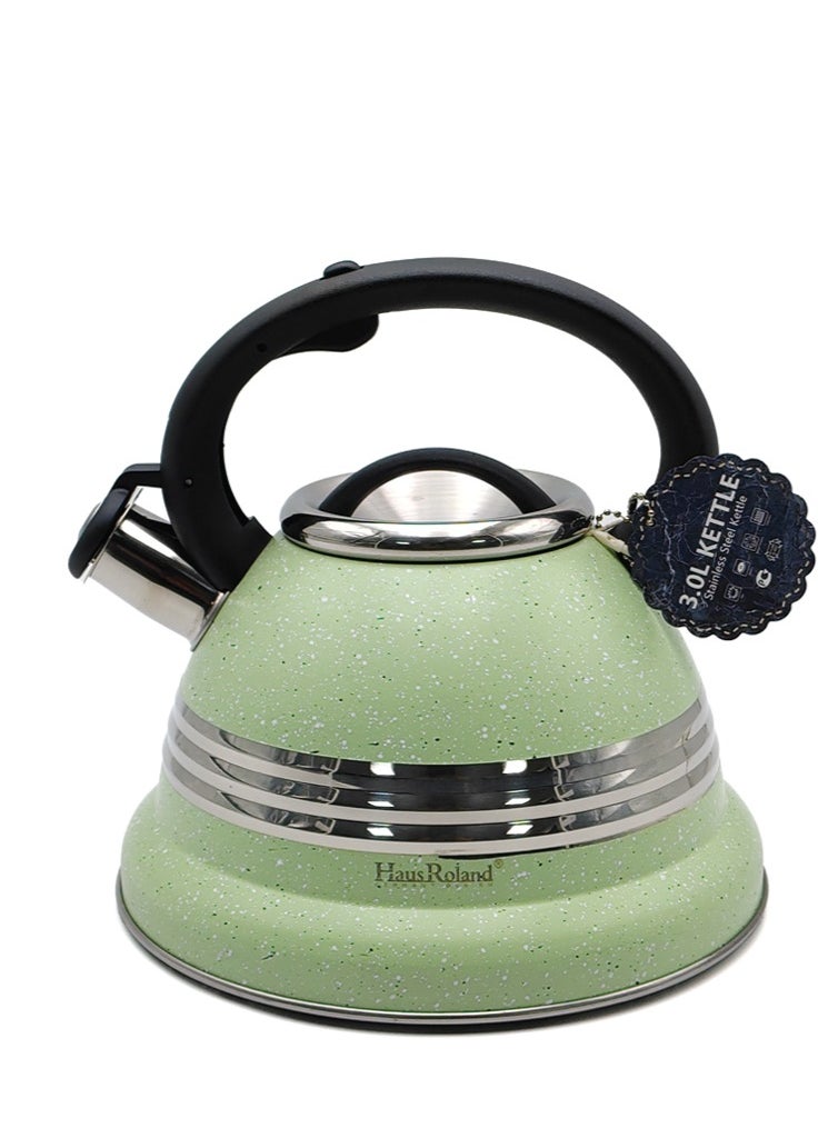 HausRoland Stainless Steel Tea Kettle, 3.17 Liters, Whistling Teapot, Stove Top, Stone Finish, Anti-Hot Handle, Anti-Rust, Loud Whistle, Fast Boiling Kitchen Utensil  - Image 1