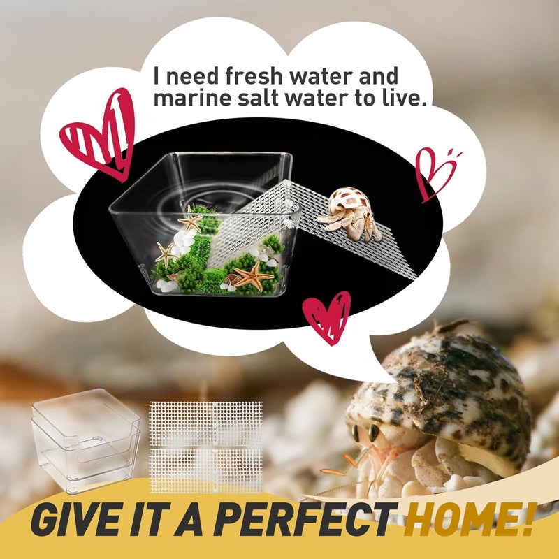 Iffitya 2 Packs Hermit Crab Water Tank - Ideal Hermit Crab Pool and Tank Combination - Hermit Crab Water Tank with Cuttable Climbing Ramp - Image 3