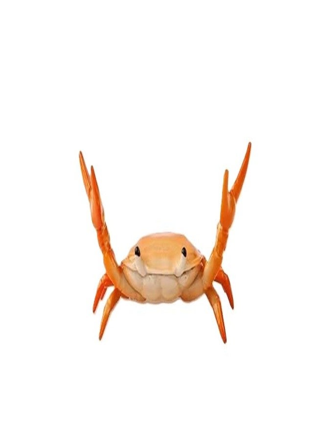WaigN Orange Creative Crab Pen Holder Weightlifting Crabs Pen Stand Storage Rack, Office Desktop Decoration, Pencil Holders Desk Supplies Holders and Dispensers, Desk Accessories and Workspace Organizers - Image 1
