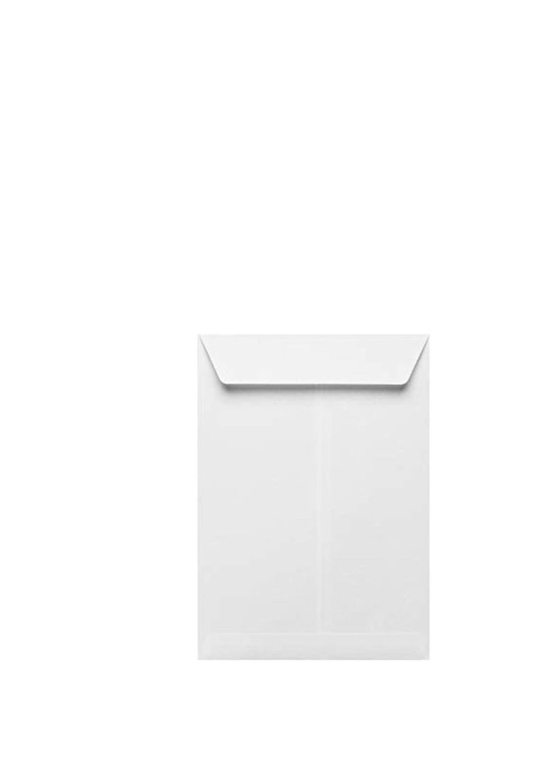 Generic 250-Piece A4 Envelops 100gsm White 