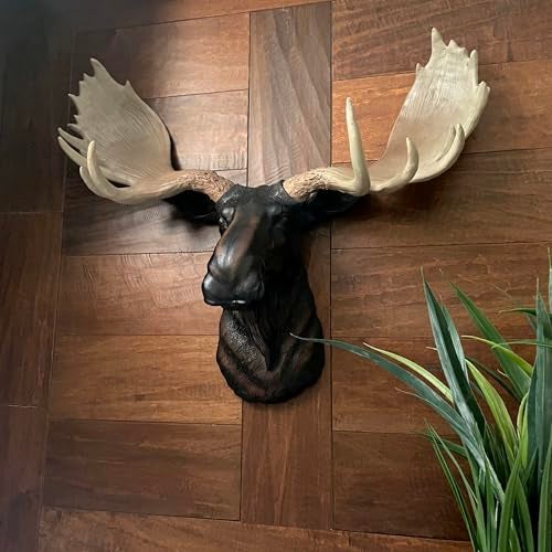 DWK North American Moose Head Bust Resin Wall Hanging 23 Inches Long - Image 4