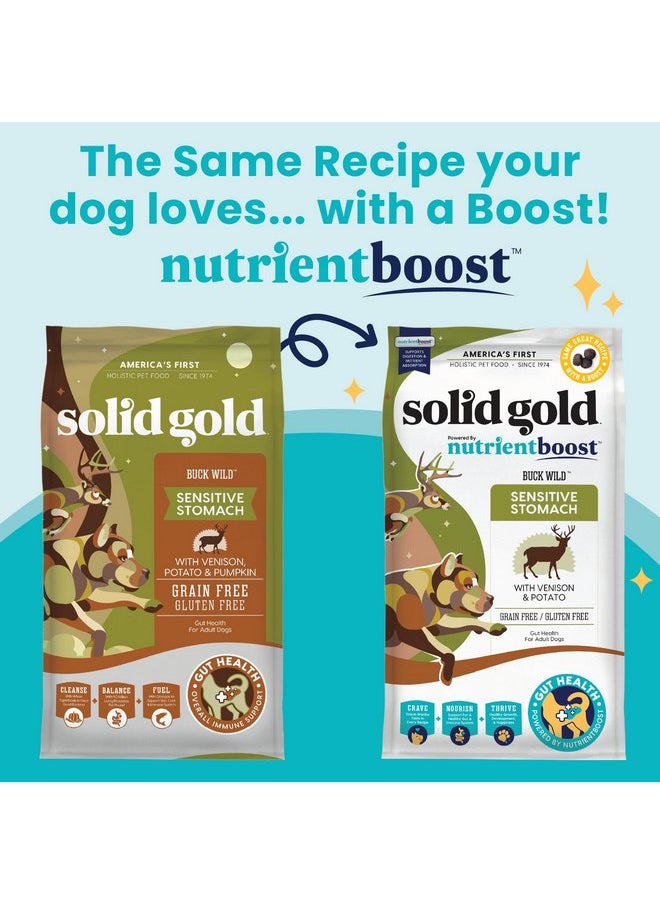 solid gold - Solid Gold Dry Dog Food for Adult & Senior Dogs - Made w/Real Venison, Potato, & Pumpkin - Nutrientboost Buck Wild Sensitive Stomach Dog Food for Protein Sensitivities & Gut Health - 3.75 LB - Image 1