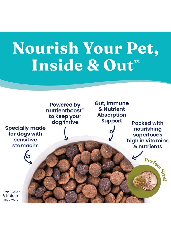 solid gold - Solid Gold Dry Dog Food for Adult & Senior Dogs - Made w/Real Venison, Potato, & Pumpkin - Nutrientboost Buck Wild Sensitive Stomach Dog Food for Protein Sensitivities & Gut Health - 3.75 LB - Image 1