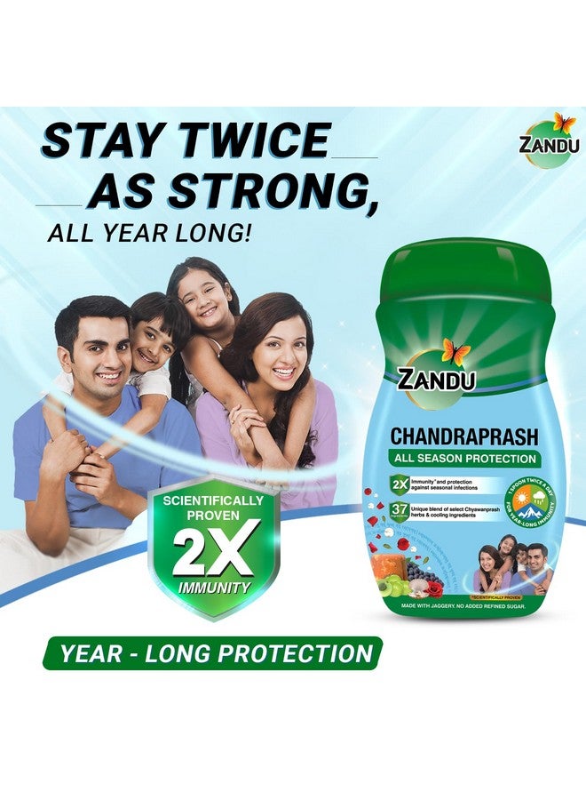 Zandu زاندو تشاندرا براش-450غ|حماية على مدار السنة - مثبت علمياً لزيادة المناعة 2X*|مزيج من أعشاب تشايوان براش وأعشاب توازن الحرارة - 37 مكوناً من الأيورفيدا|مع جاجري، بدون سكر مكرر - Image 4