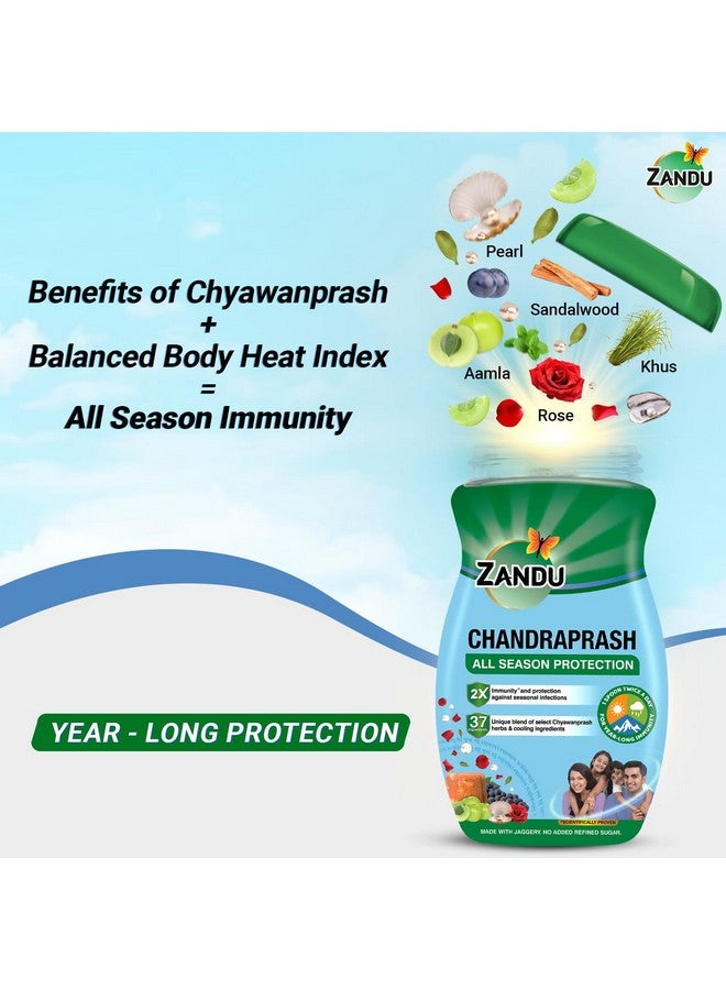 Zandu زاندو تشاندرا براش-450غ|حماية على مدار السنة - مثبت علمياً لزيادة المناعة 2X*|مزيج من أعشاب تشايوان براش وأعشاب توازن الحرارة - 37 مكوناً من الأيورفيدا|مع جاجري، بدون سكر مكرر - Image 3
