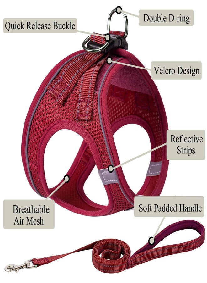 BOOMIBOO Dog Harness with Leash Set, No Pull Adjustable Reflective Step-in Puppy Pet Vest Harnesses for Small Medium Large Dogs and Cats,Red S - Image 2