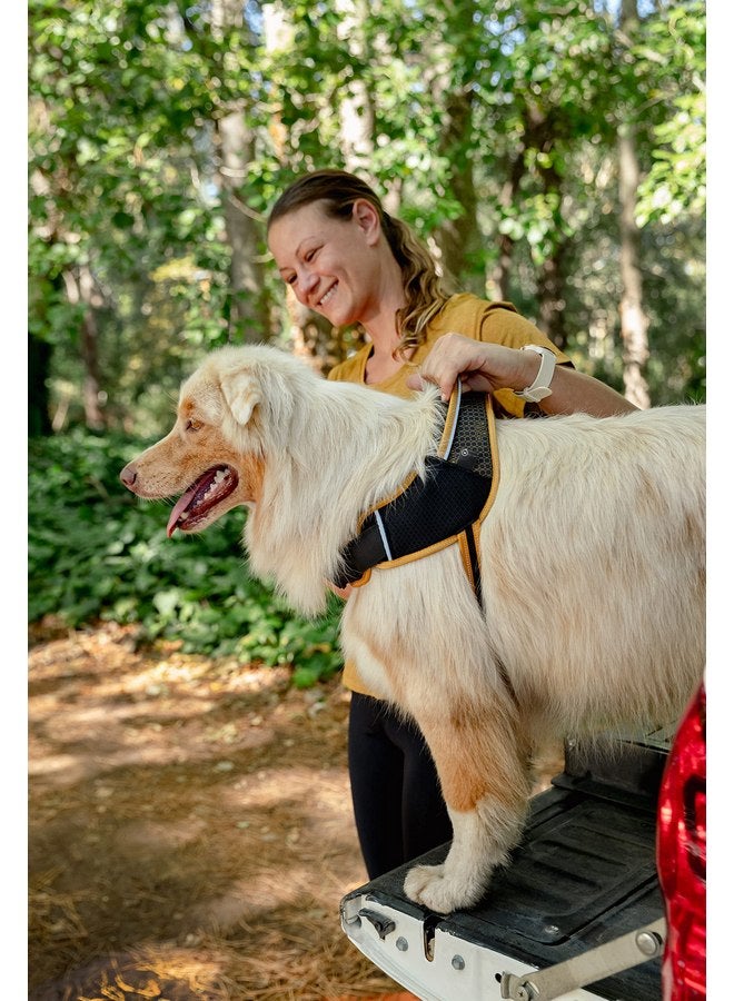 روجز حزام رياضي للكلاب من Rogz AirTech متوسط/كبير - أسود نايت سكاي - Image 5