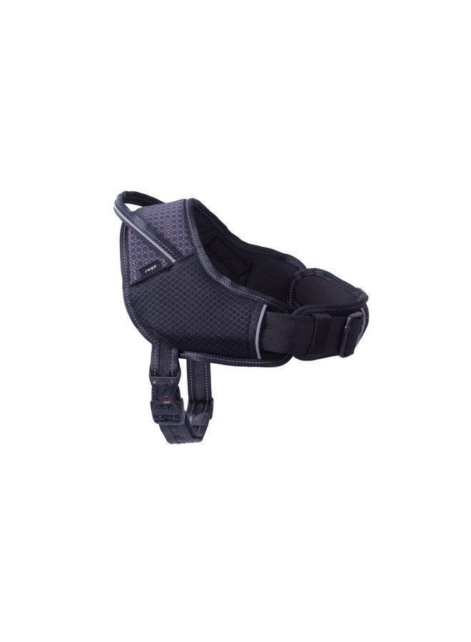 روجز حزام رياضي للكلاب من Rogz AirTech متوسط/كبير - أسود نايت سكاي - Image 1