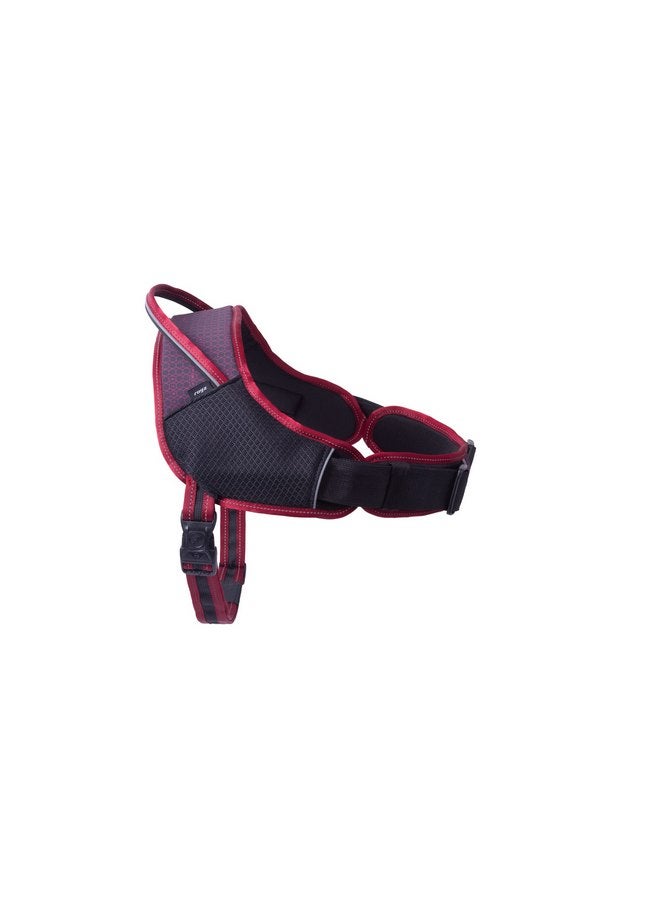 روجز حزام رياضي للكلاب من Rogz AirTech متوسط/كبير - أسود نايت سكاي - Image 2