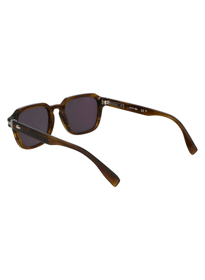 LACOSTE FULL RIM ACETATE ACETATE LACOSTE SUNS L6046S 5220 (275) STRIPED KHAKI - Image 5