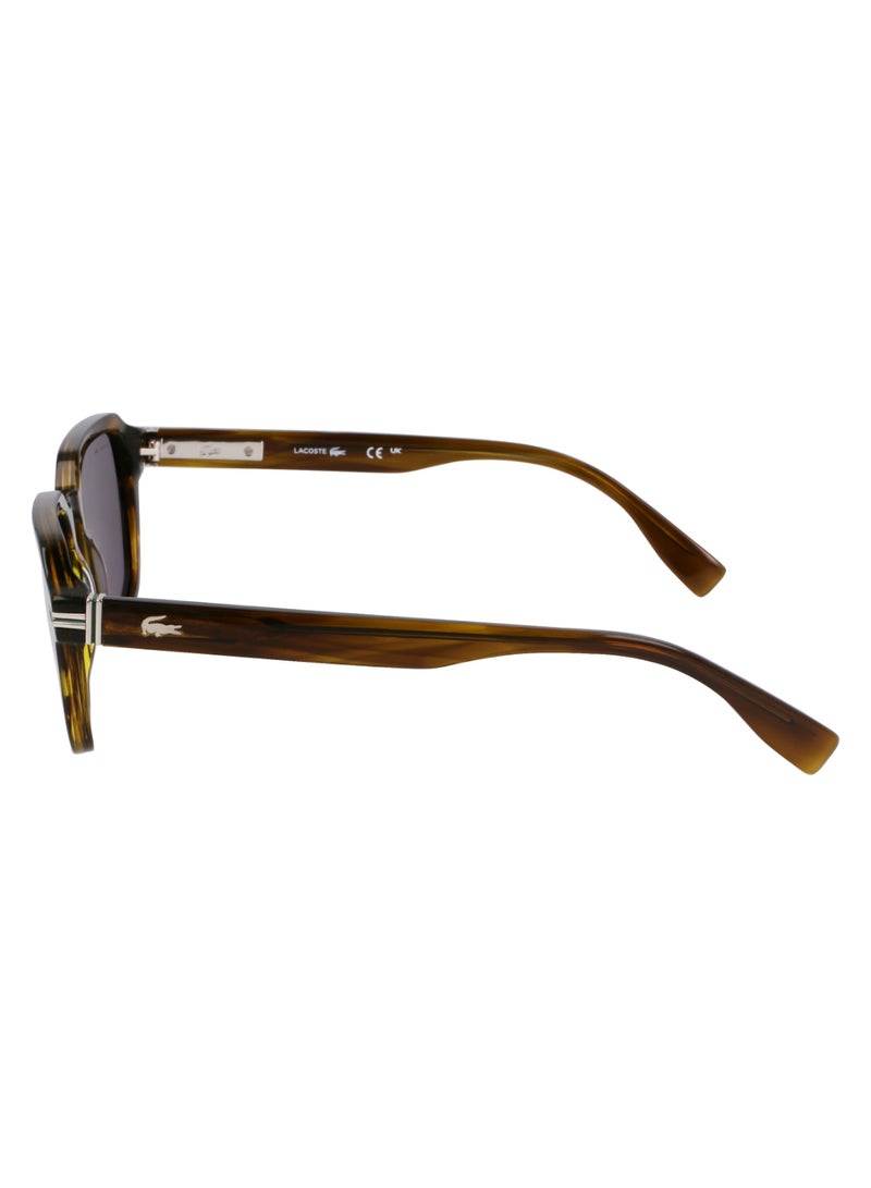 LACOSTE FULL RIM ACETATE ACETATE LACOSTE SUNS L6046S 5220 (275) STRIPED KHAKI - Image 4