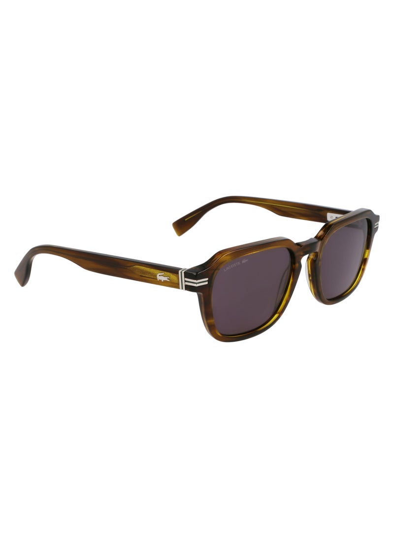 LACOSTE FULL RIM ACETATE ACETATE LACOSTE SUNS L6046S 5220 (275) STRIPED KHAKI - Image 3