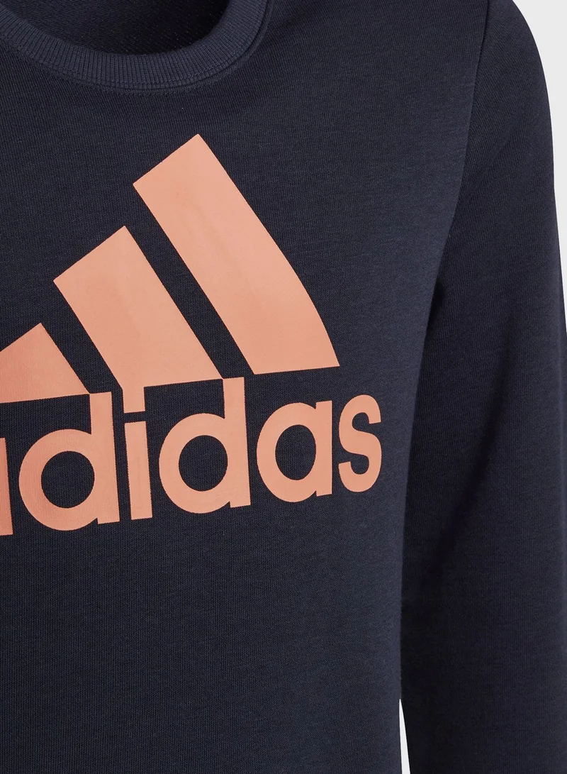 Adidas Youth Big Logo Sweatshirt