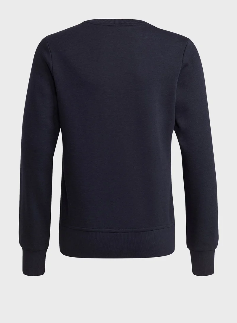Adidas Youth Big Logo Sweatshirt