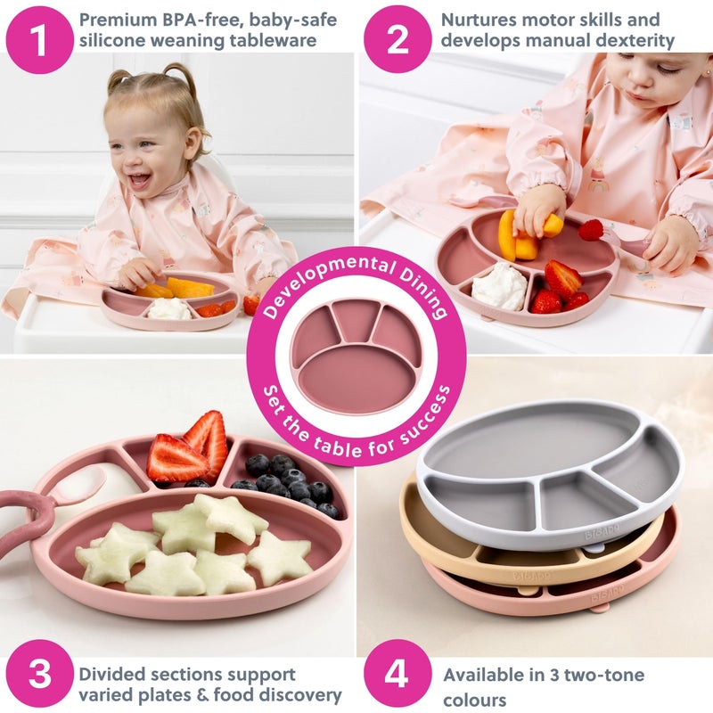 BIBaDO - Silicone Suction Divider Plate (Blush) - Toddler Plates - Help Develop Motor Skills - Durable, Dishwasher & Microwave Safe, BPA Free - Medical Grade - Baby Essentials - 6 Months to 3 Years - Image 5