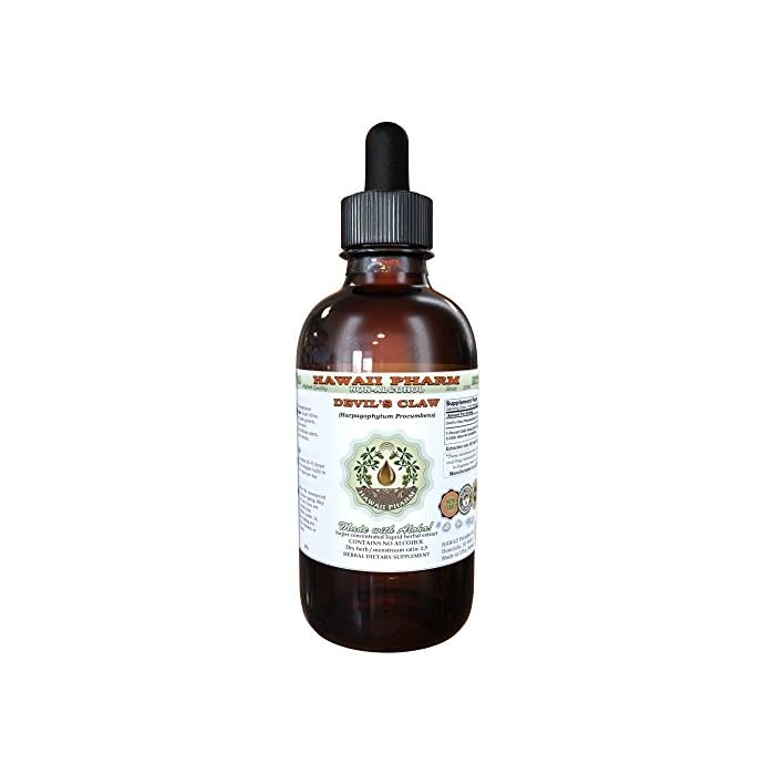 Hawaii Pharm Devil's Claw Alcohol-Free Liquid Extract, Devil's Claw (Harpagophytum Procumbens) Dried Root Tuber Glycerite Natural Herbal Supplement 4 oz - Image 1
