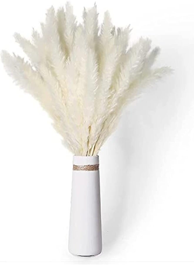 Yatai - 30 Pcs Faux Pampas Grass Large, Artificial Pampas Grass Decor Tall, Floor Vase Filler, Dried Flowers For Flower Arrangements Wedding Home Party Decor | White - Image 1