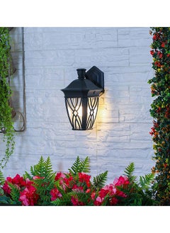 DANUBE HOME Milano Donna Wall Bracket Outdoor Light Cover Wall Mount Lanterns For Home Garden Yard Patio 18x22x33 cm  - Image 1