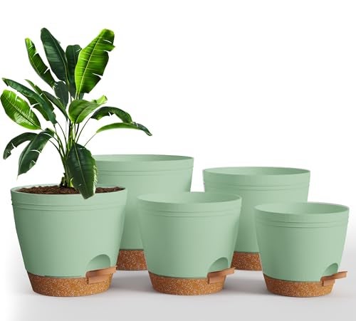 Utopia Home Self Watering Pots for Indoor Plants Planters for Indoor Plants MultiSize Flowerpot Set of 5 Plant Pots with Drainage Reservoir 6864595549 Olive Green - Image 1