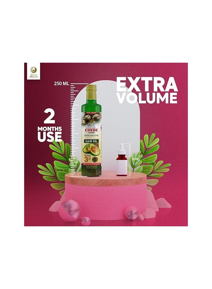 AMALICO Avocado Oil for Hair Growth and Scalp Treatment - 250 ML - with Chebe Powder for hair Growth for Damaged Dry Hair - Image 3