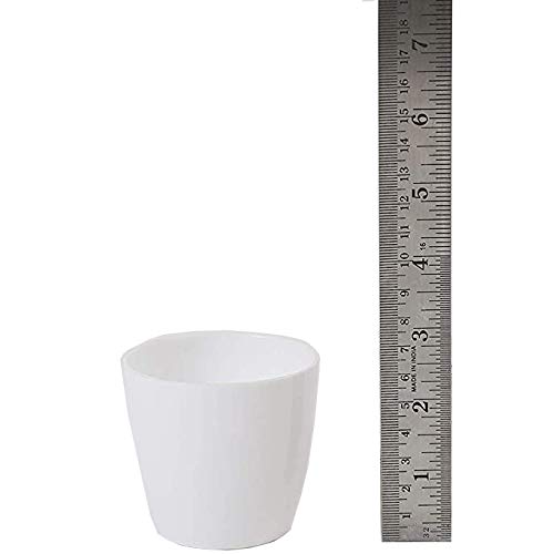 CAPPL 2.5 Inch White Singapore Plastic Pot (Pack of 12) - Image 3