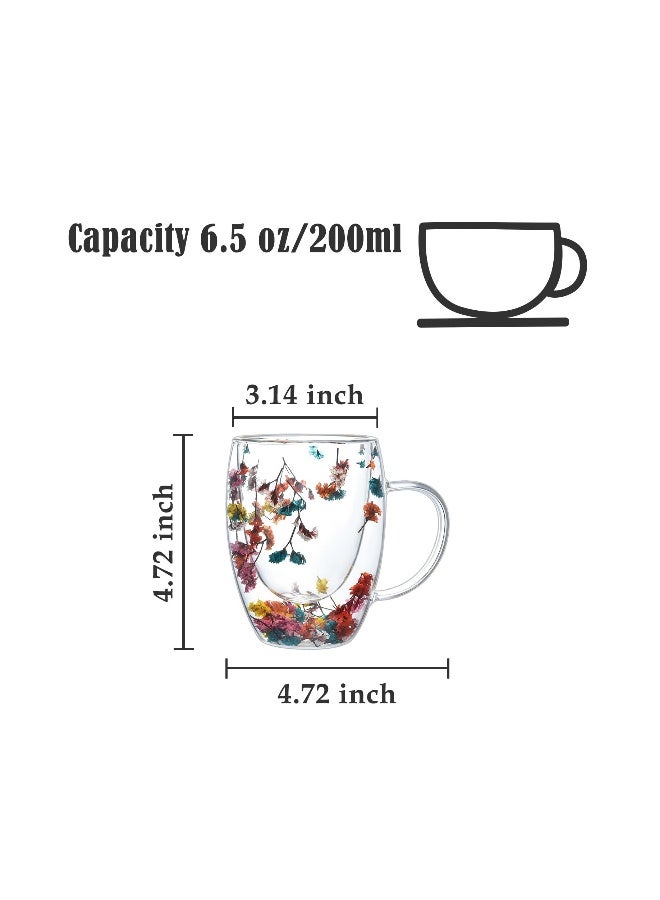 Insulated Double Walled Glass Coffee Mug with Handle for Hot Beverages, 300ml Clear Cup Ideal for Cappuccino, Tea, and Espresso - Image 2