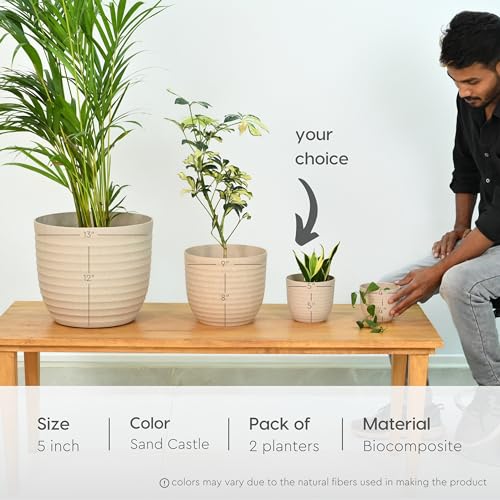 Eha Set of 2 Earth-Friendly 5" Verona Pots and Planters | Bamboo Based Table Planter for Office | UV Protected |Plant Pots for Indoor & Home Décor, Balcony & Garden | Sand Castle - Image 2