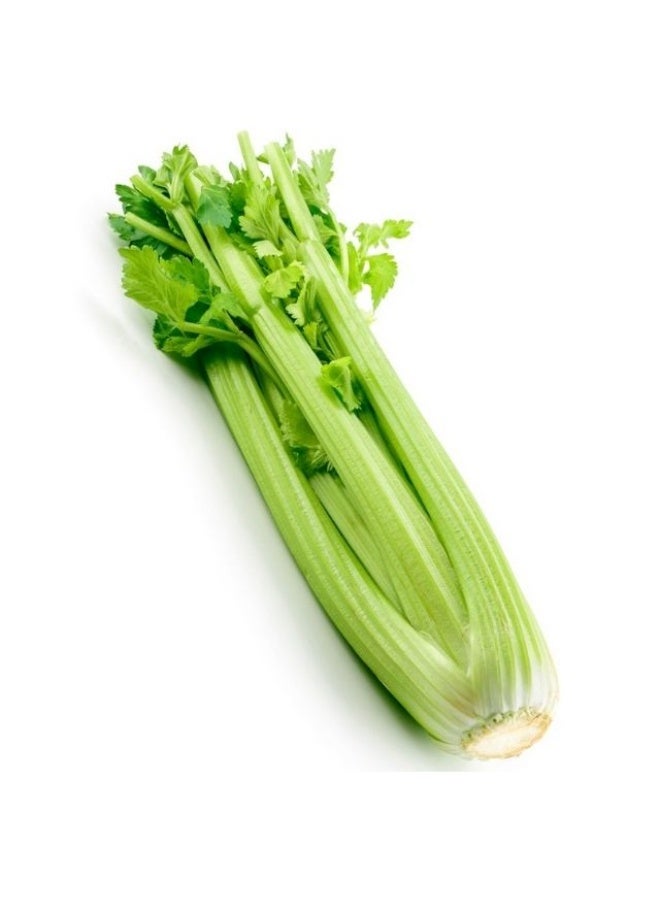 Celery, 350g, Spain