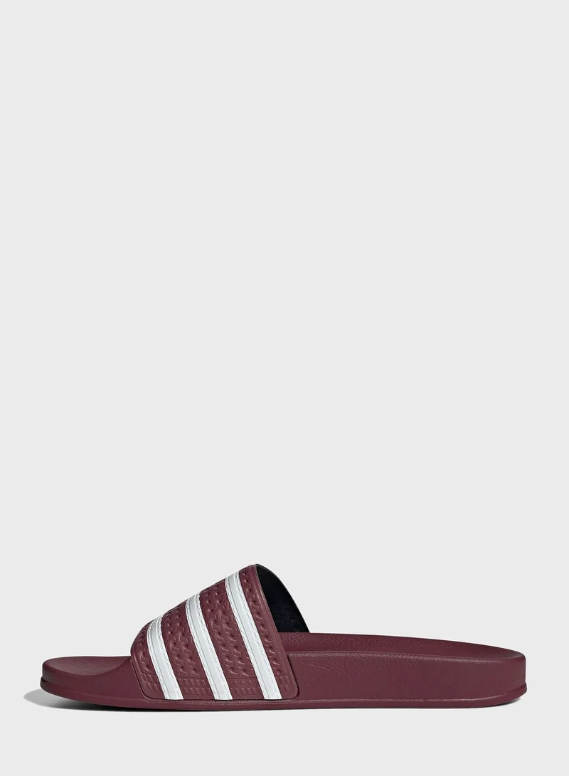 adidas Originals Adilette