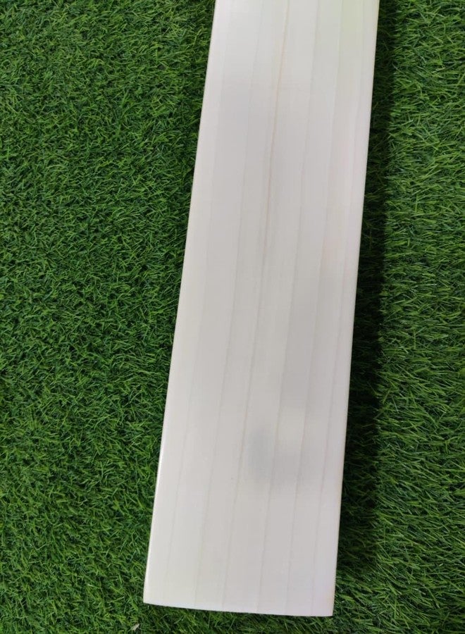 تبلد مضرب كريكيت من خشب الصفصاف الإنجليزي، مقاس 4، خفيف الوزن، مناسب لبطولة T20 - Image 5