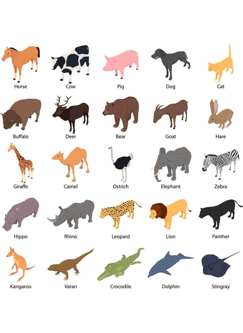 Kt Grup Kt Decoration English Animal Names and Figures Educational Wall Sticker Set 