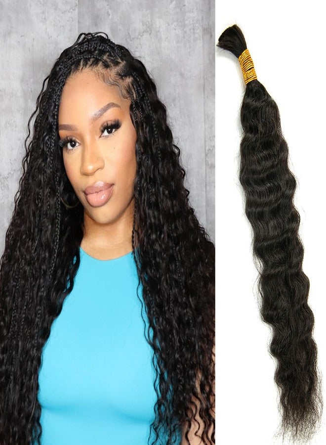 Y WIGS YWIGS Wet and Wavy Human Braiding Hair for Boho Braids 50G No Weft Virgin Human Hair Bulk Human Hair for Braiding 22inch - Image 1