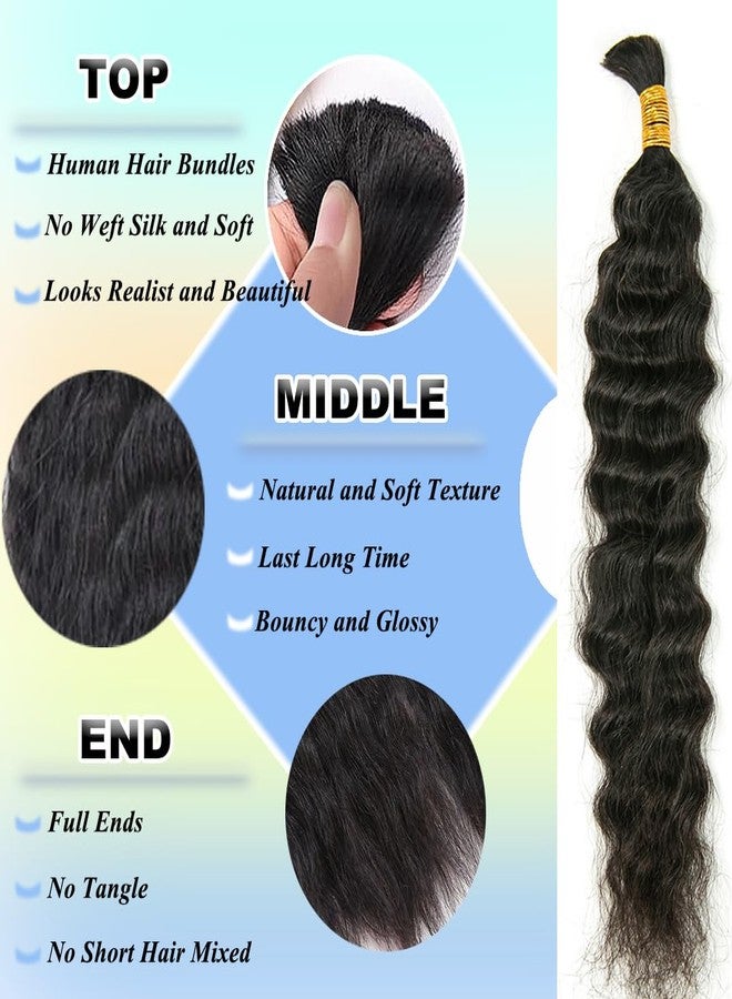 Y WIGS YWIGS Wet and Wavy Human Braiding Hair for Boho Braids 50G No Weft Virgin Human Hair Bulk Human Hair for Braiding 22inch - Image 3