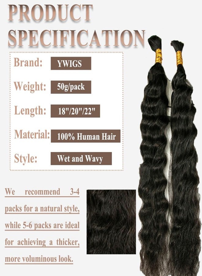 Y WIGS YWIGS Wet and Wavy Human Braiding Hair for Boho Braids 50G No Weft Virgin Human Hair Bulk Human Hair for Braiding 22inch - Image 2