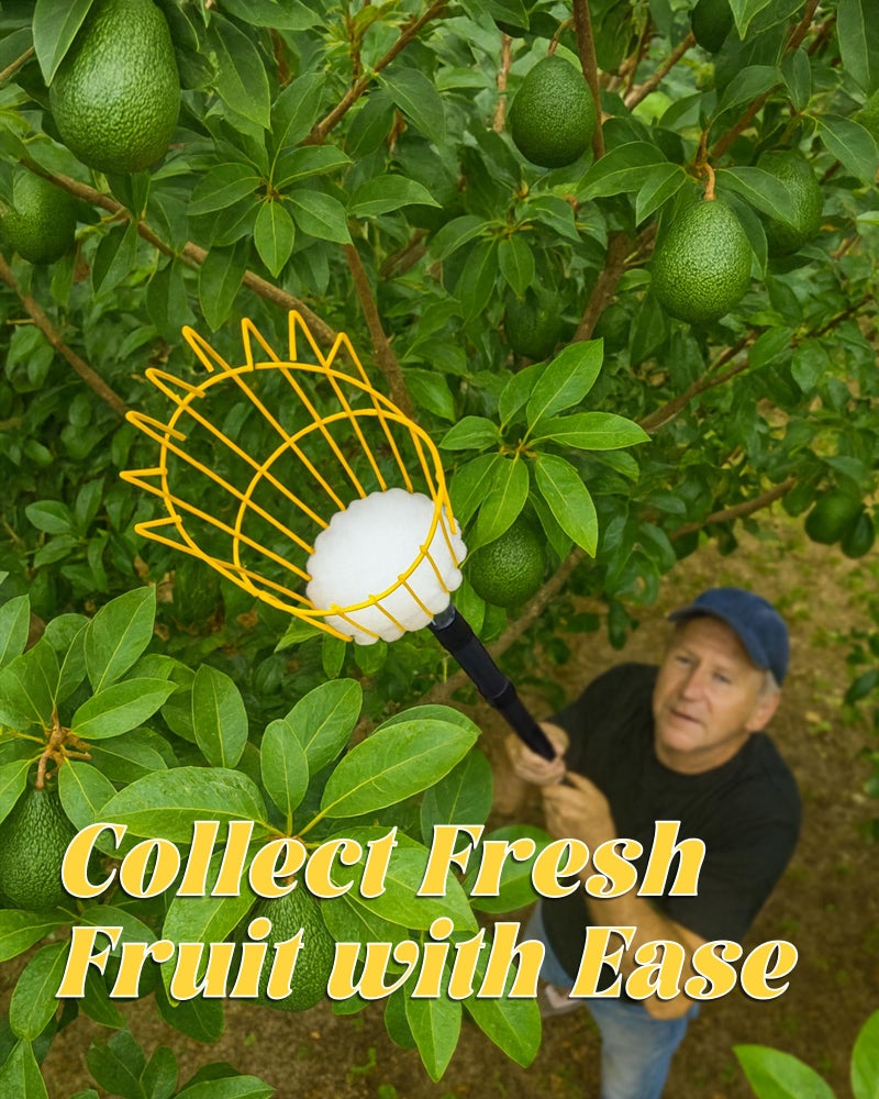 BlumeTrec 9FT Fruit Picker with Basket, Apple Picking Tool 35â€“105 Inch Adjustable Pole, Long-Handle Mango Grabber, Tree Fruit Catcher for Harvesting Lemon Pear Orange Avocado Peach Citrus Grapefruit - Image 3