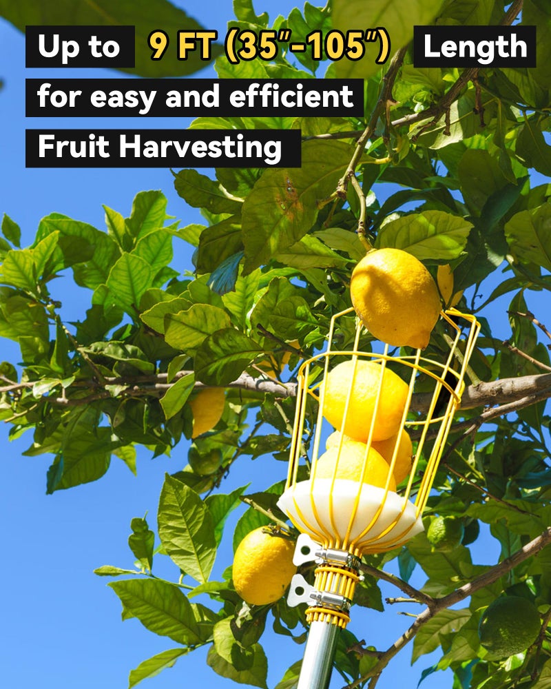 BlumeTrec 9FT Fruit Picker with Basket, Apple Picking Tool 35â€“105 Inch Adjustable Pole, Long-Handle Mango Grabber, Tree Fruit Catcher for Harvesting Lemon Pear Orange Avocado Peach Citrus Grapefruit - Image 4