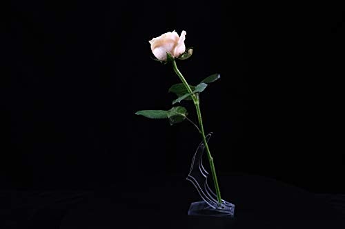 ZJchao 24k Rose Display Stand, 7.5 * 4.72 * 1.58Inch Gold Long Stem Roses Artificial Flower Base Rose Transparent Shelf Support- Clear (Rose Stand) - Image 3