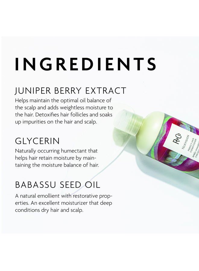 R+Co Television Perfect Hair Conditioner | Shine + Strengthening + Softening for All Hair Types | Vegan + Cruelty-Free | 8.5 Oz - Image 3