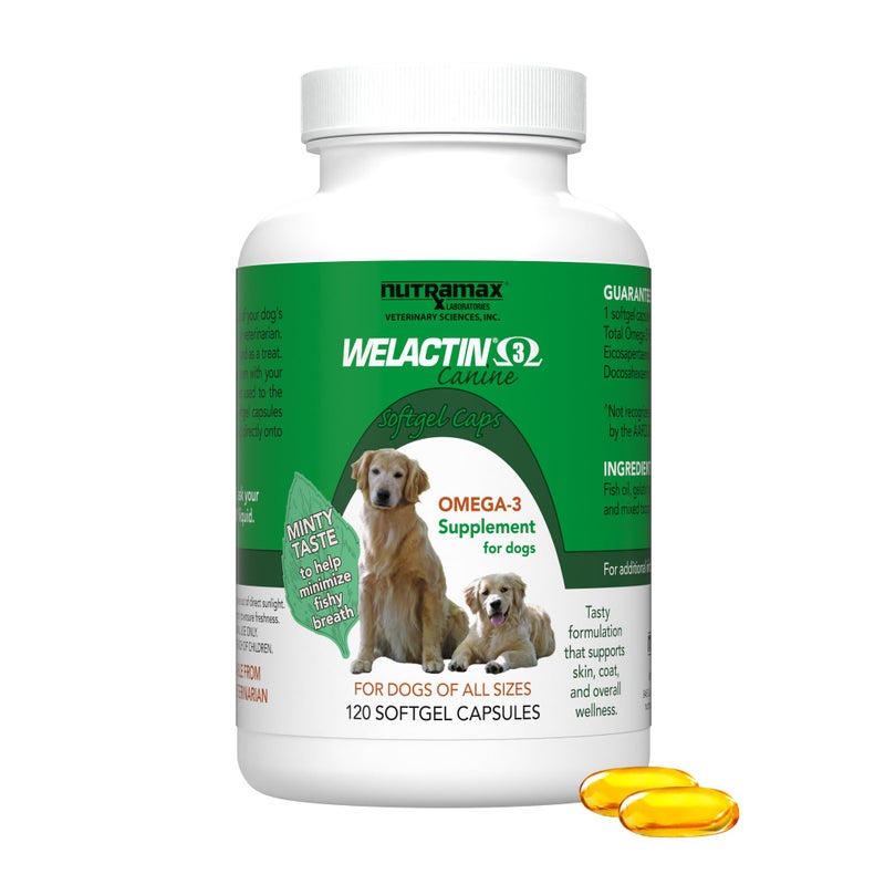 Nutramax Laboratories Nutramax Welactin Canine Softgels, Omega 3 Supplement for Dogs of all Sizes, Softgels, 120 Count - Image 1