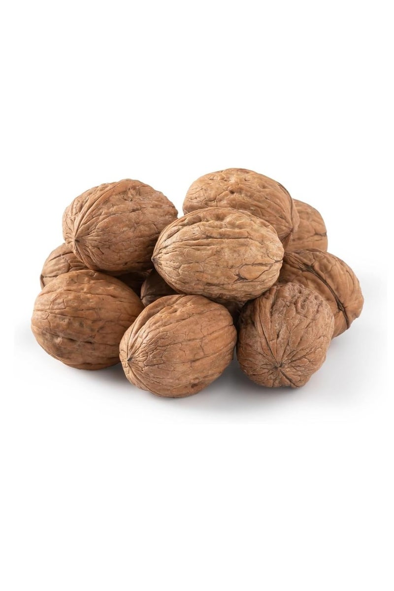 Walnut in Shell from Argentina, 1 kg 