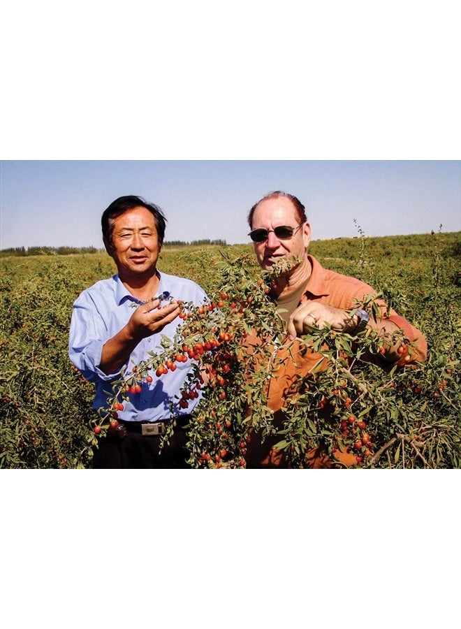 Dragon Herbs توت غوجي من جبل الجنة - 8 أونصات - Image 4