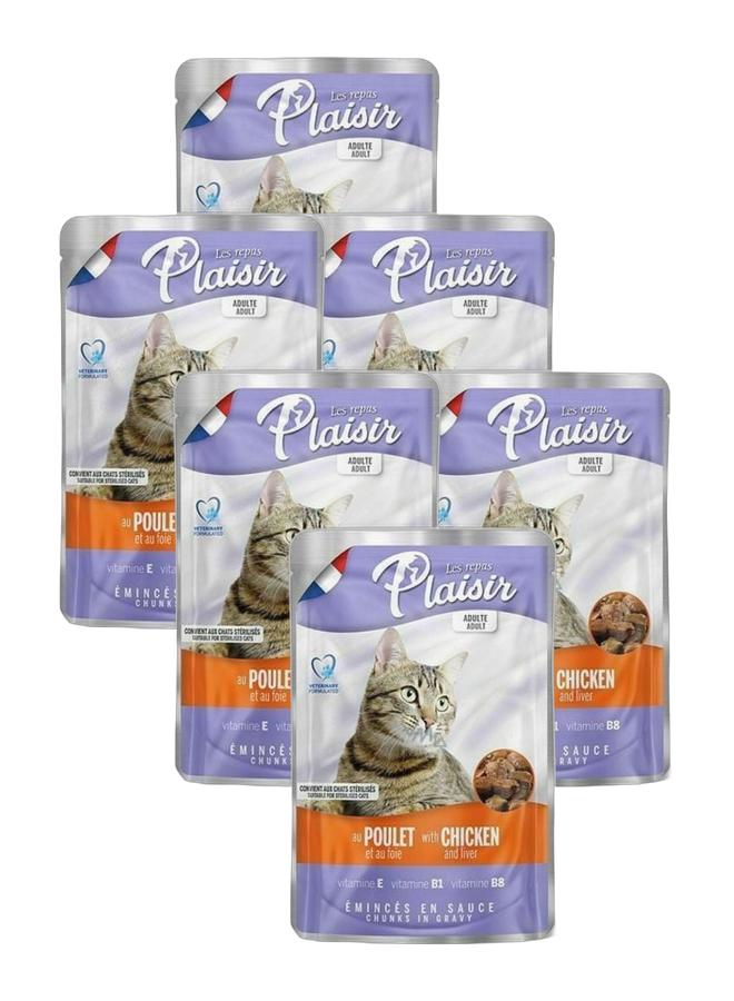 Plaisir Cat Food Chunks with Chicken & Liver in Gravy 100g Pack of 6 - Image 1