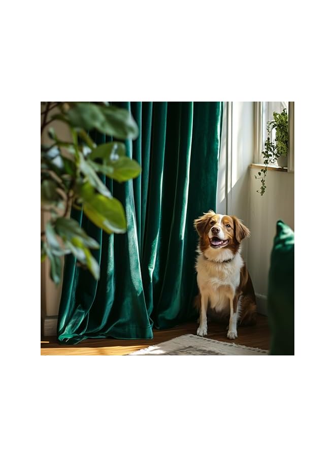 The Bros Velvet Curtain for Living Room, Sage Thermal Insulated Luxury Drape for Bedroom, Stylish Soft Privacy Room Darkening Window treatment Grommet 1 Panel 108L - Image 2