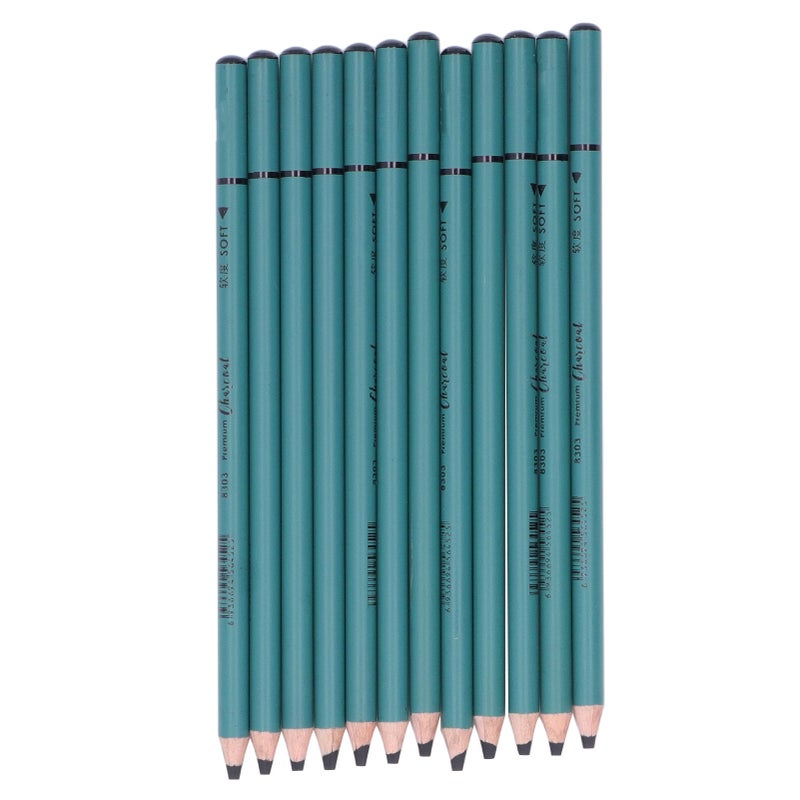 12Pcs Charcoal Pencils Flexible Write Smoothly Easy to Use Charcole Art Supply for Detailed Drawing Sketching Painting - Image 4