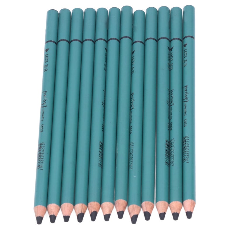 12Pcs Charcoal Pencils Flexible Write Smoothly Easy to Use Charcole Art Supply for Detailed Drawing Sketching Painting - Image 3