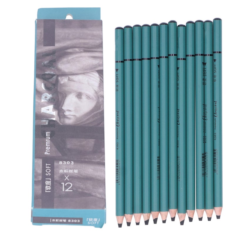 12Pcs Charcoal Pencils Flexible Write Smoothly Easy to Use Charcole Art Supply for Detailed Drawing Sketching Painting - Image 1