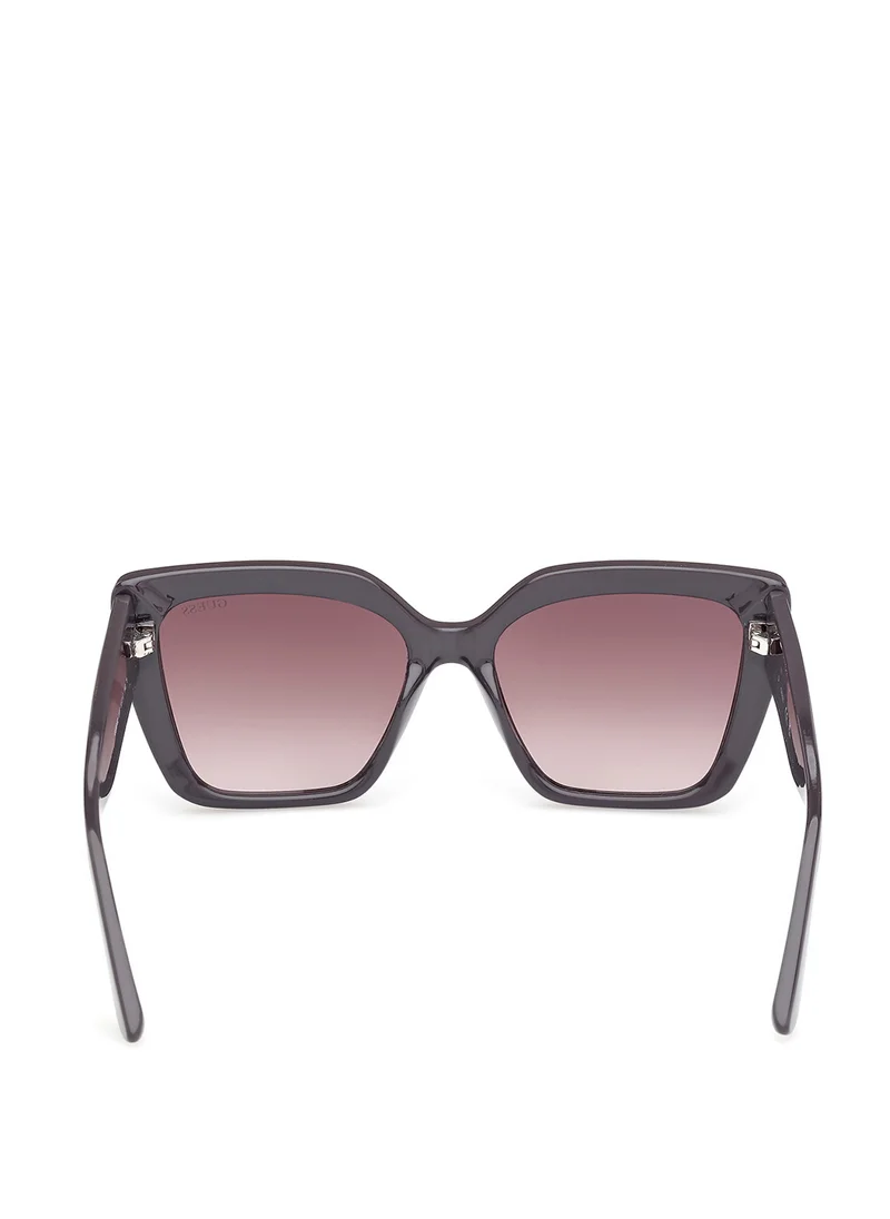 جس Injected Shaped Sunglasses